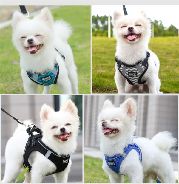 1620110551061.jpg Dog Chest Harness Traction Suit Clothes Dog Chain Dog Leash